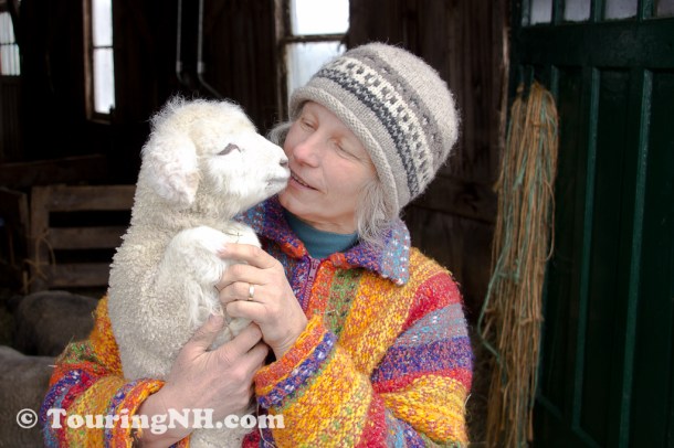 Marlborough - One of the great people I met this year. Mary and her lamb.