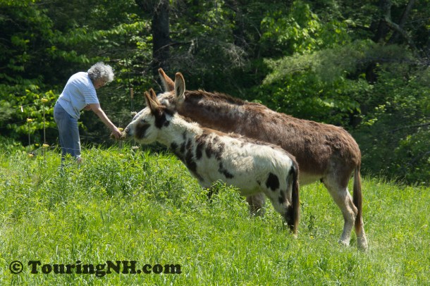 They look pretty happy to me!