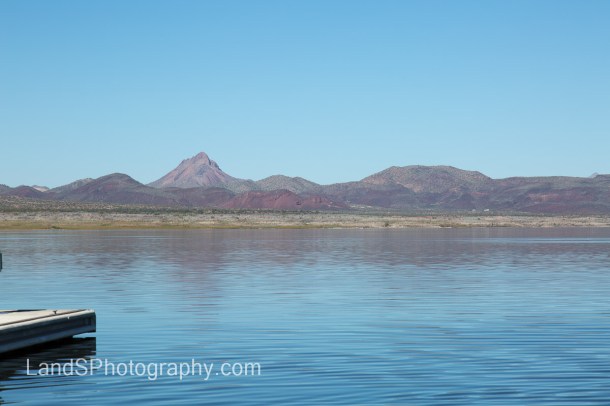 Alamo Lake State Park-107