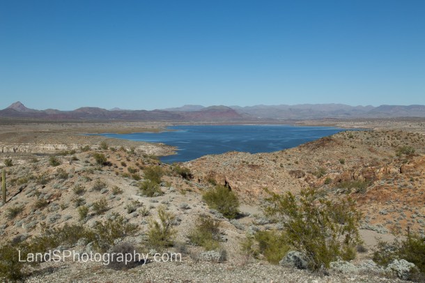 Alamo Lake State Park-112