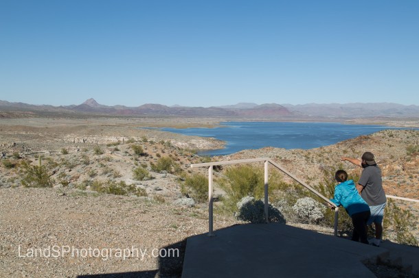 Alamo Lake State Park-115