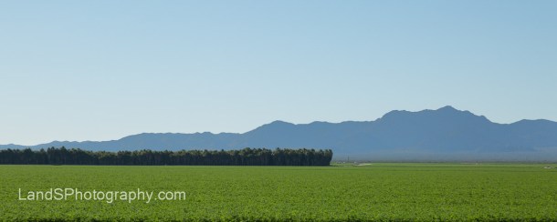 Alamo Lake State Park-121