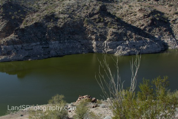 Alamo Lake State Park-134