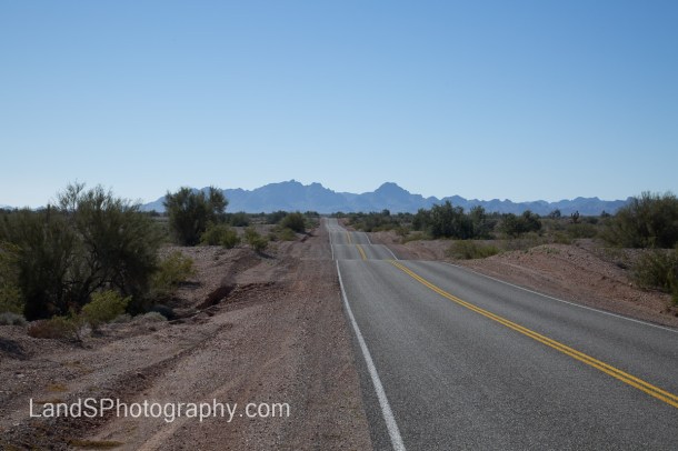 Alamo Lake State Park-21