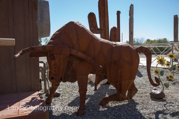 Alamo Lake State Park-49