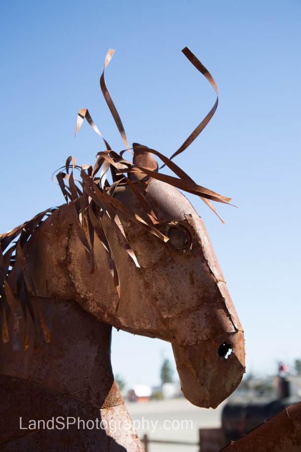 Alamo Lake State Park-53