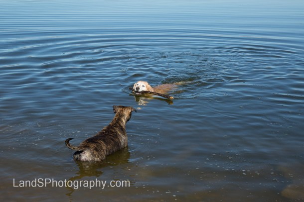 Molly forgot she knows how to swim