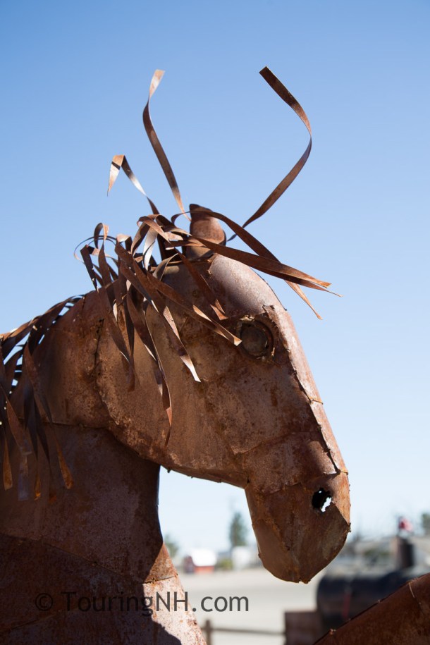 Alamo Lake State Park-53