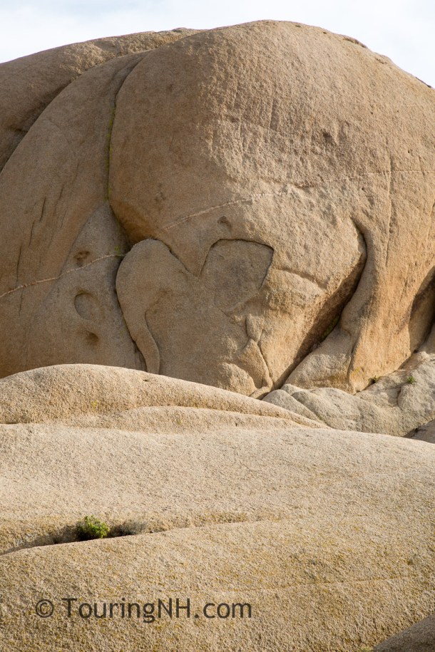 Joshua Tree NP-108