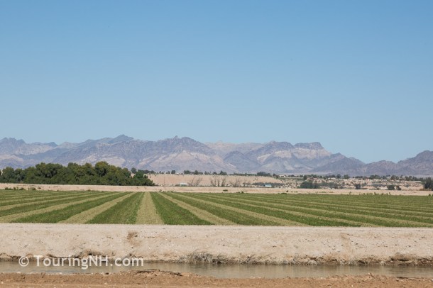 03Mar9 Calif - Copy - Copy