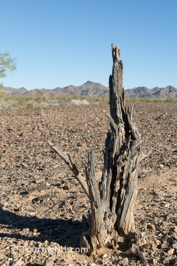Desert & Plane Show-193 - Copy - Copy