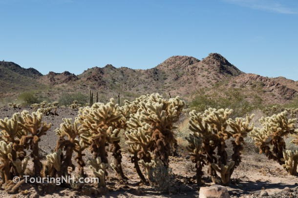 Desert & Plane Show-23 - Copy - Copy