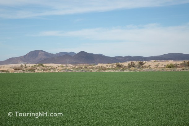 Lake Yuma Campfire-20 - Copy