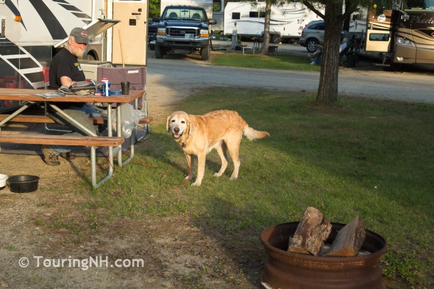 Steve and Diesel relaxing after we got setup