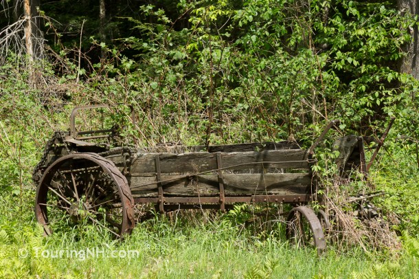 OK, so I can't pass up old farm equipment either!