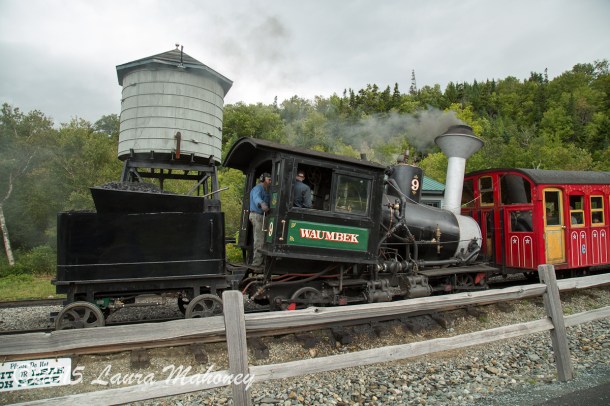 Cog Railroad Mount Washington-7543
