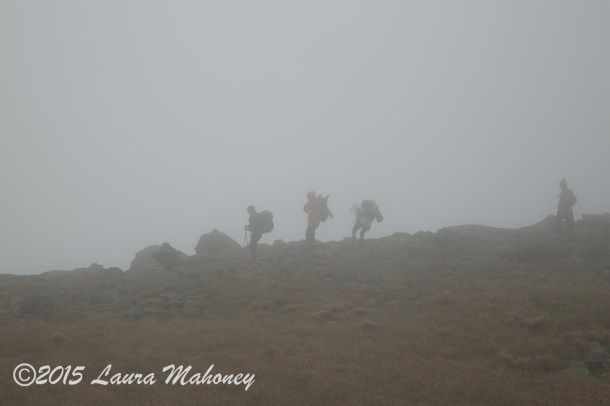 Cog Railroad Mount Washington-7654