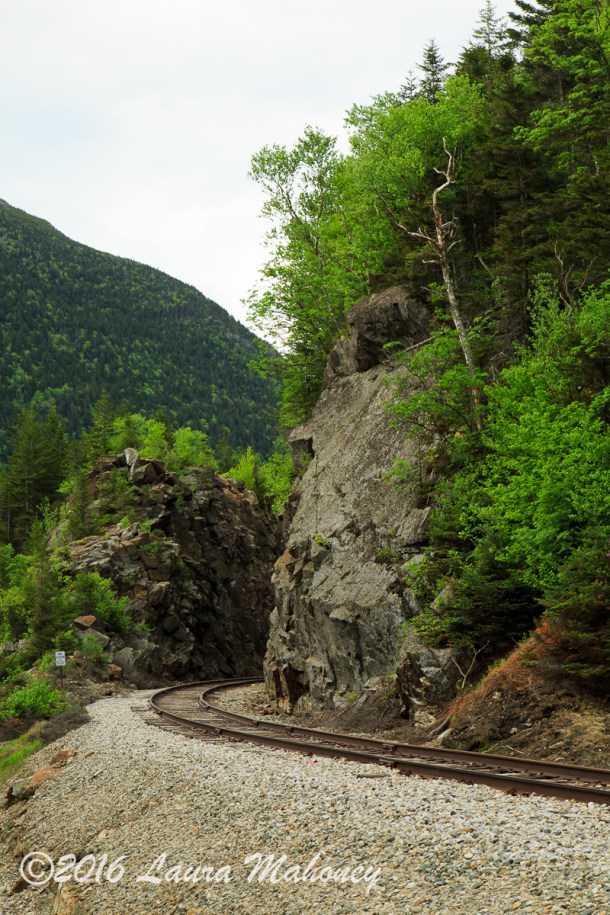 Harts Location-0336-2