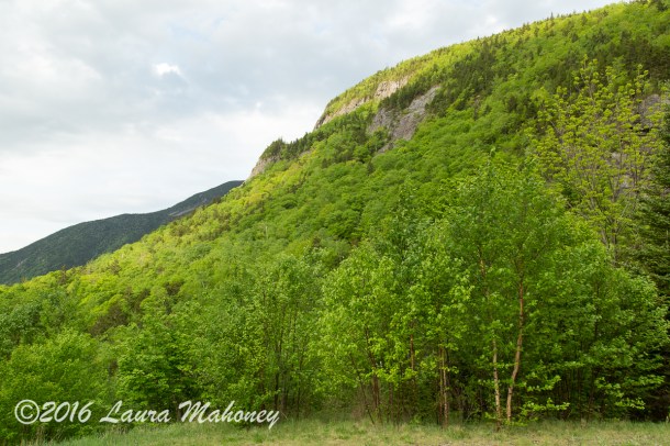 Harts Location-0338-2