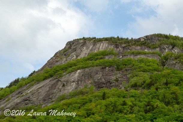 Harts Location-0356-2