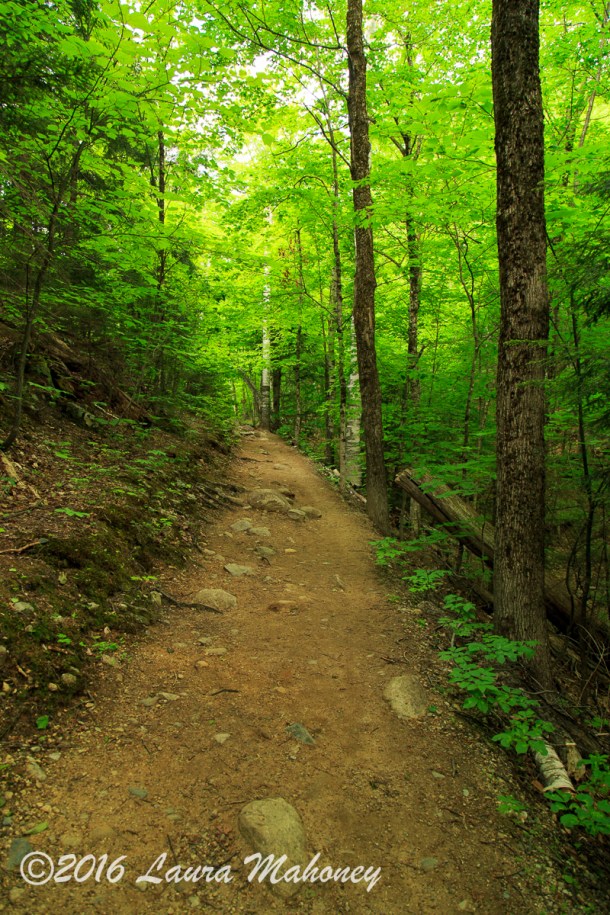 Harts Location-0383-2