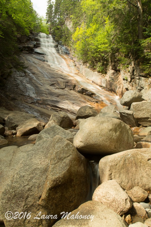 Harts Location-0398-2