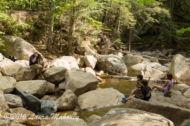 Harts Location-0409-2