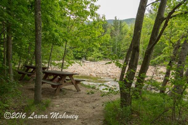 Harts Location-0444-2